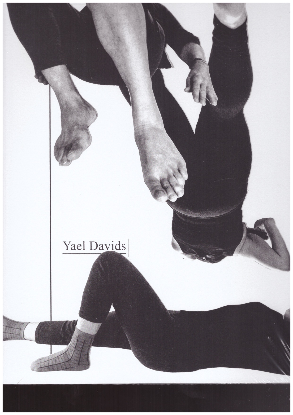 DAVIDS, Yael - I’m Going to be Your Last Teacher – a Workbook